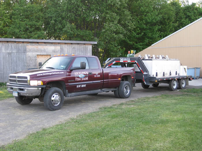 Hickling's Fish Farm, largemouth bass and trout hatchery in New York