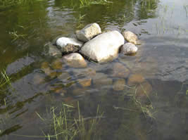 rock piles for forage fish